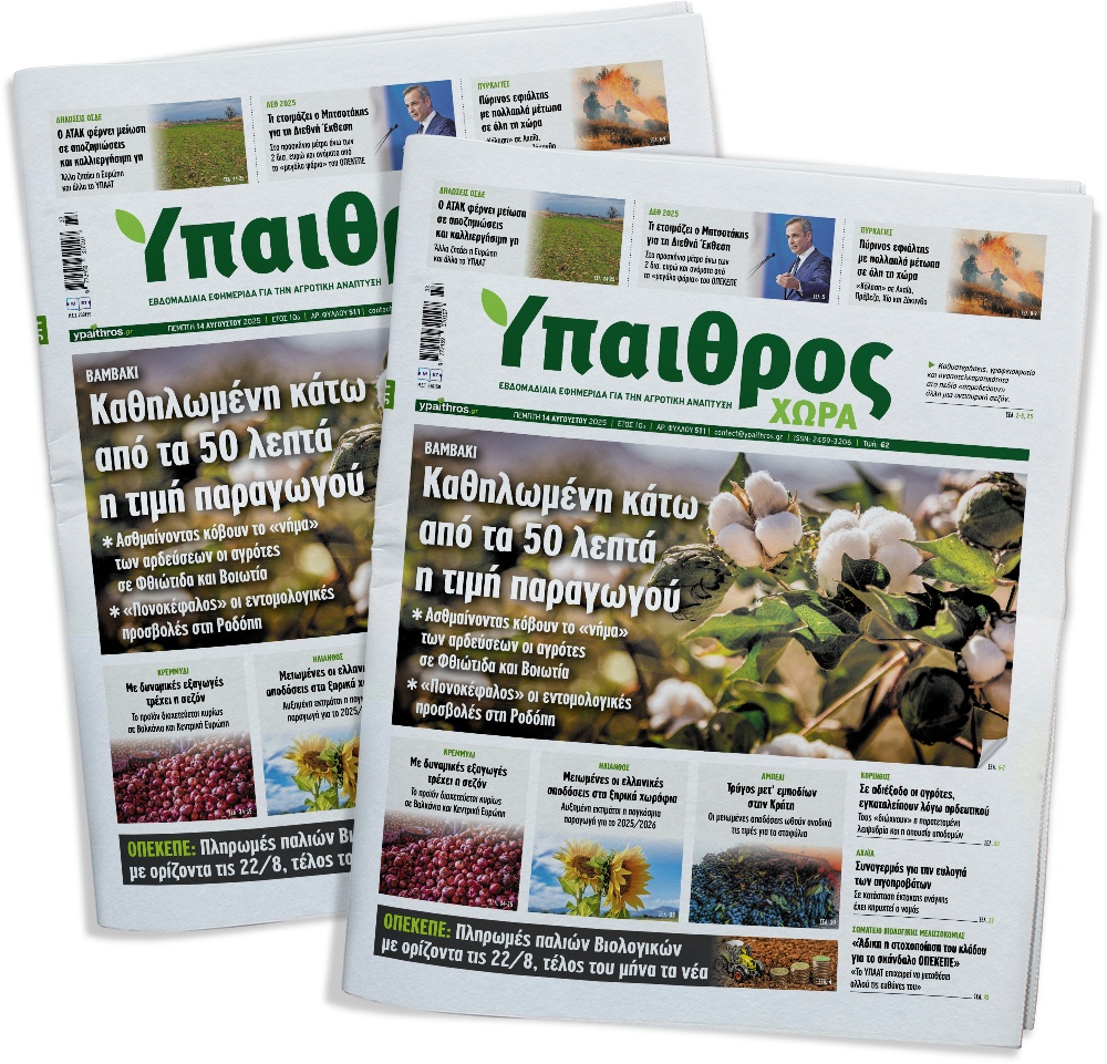 fyllo-511-pebti-14-avgoustou-2025-360196