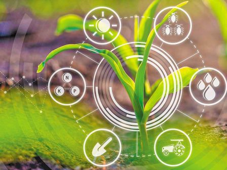 agrotechnologia-tou-mellontos-metaschimatismos-tis-georgias-me-robot-techniti-noimosyni-kai-psifiaka-didyma-361012
