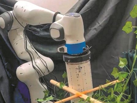 ipa-robot-pou-akoune-tis-kalliergeies-anagnorizoun-karpous-kai-kladia-360612