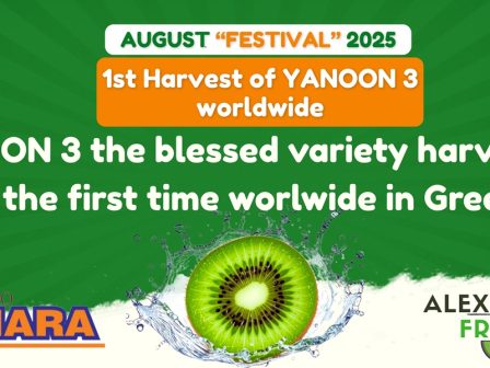 festival-1is-sygkomidis-pagkosmios-tis-neas-poikilias-aktinidiou-yanoon-stin-pella-360412