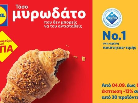 i-lidl-ellas-meionei-tis-times-se-pano-apo-30-artoskevasmata-kata-13-kai-xekinaei-mia-chioumoristiki-kabania-361274