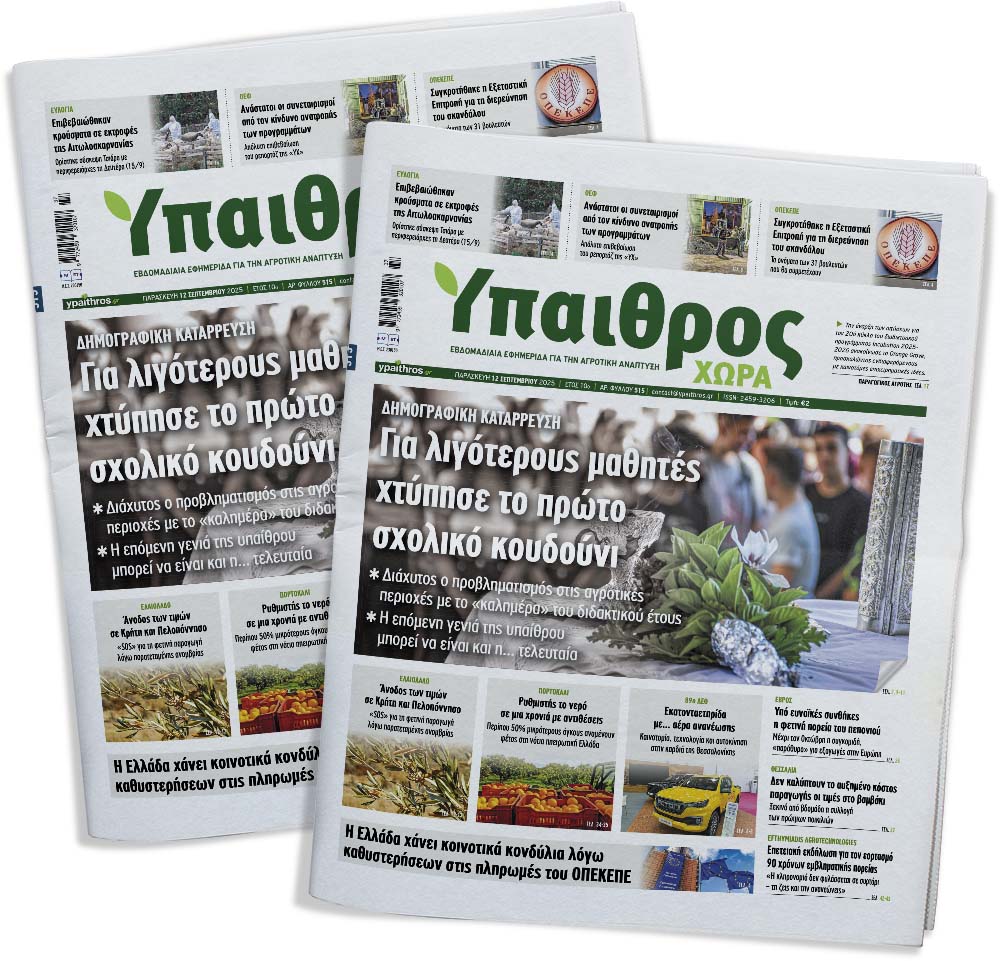fyllo-515-paraskevi-12-septemvriou-2025-361794