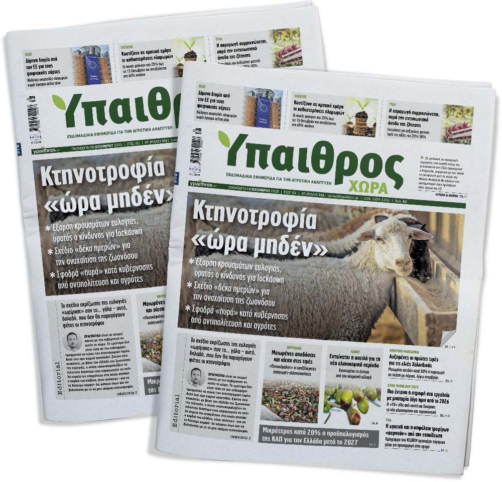 fyllo-516-paraskevi-19-septemvriou-2025-362314