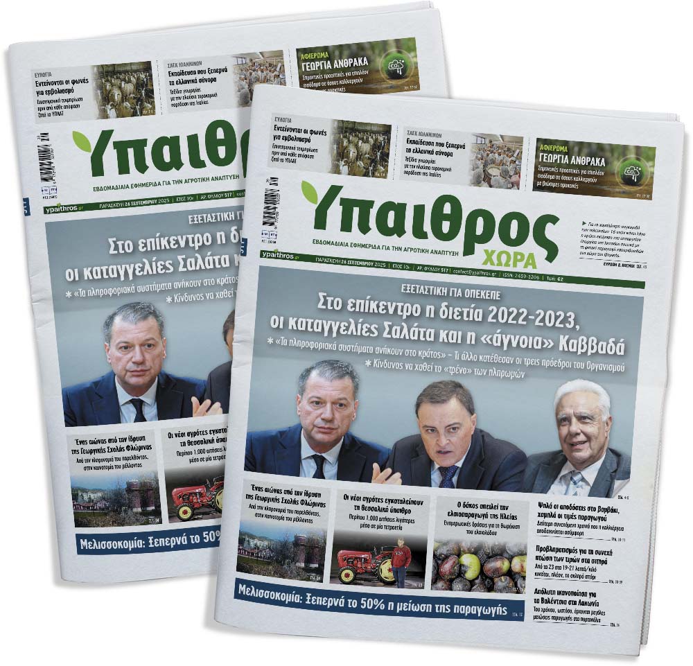 fyllo-517-paraskevi-26-septemvriou-2025-362873