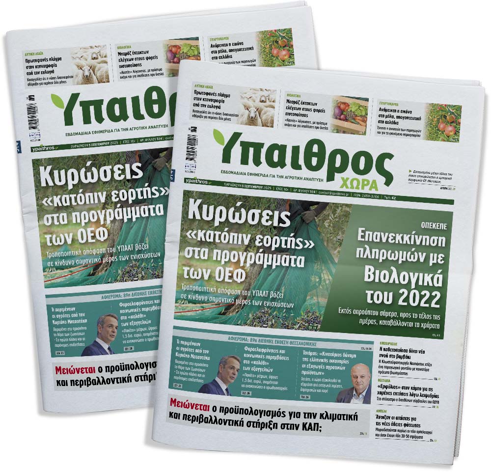 fyllo-514-paraskevi-5-septemvriou-2025-361306