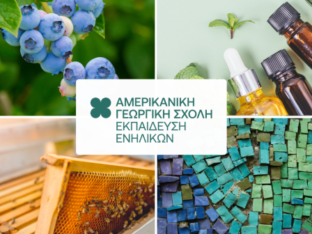 stin-amerikaniki-georgiki-scholi-i-mathisi-den-echei-ilikia-362844