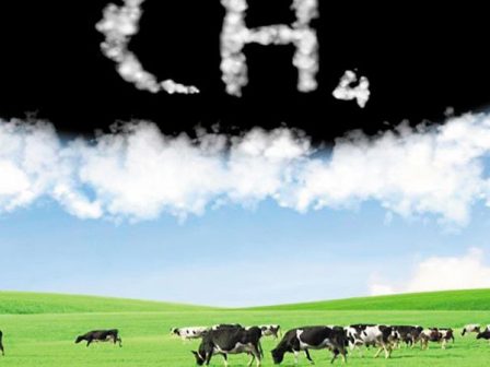 time2graze-meiosi-ton-ekpobon-methaniou-meso-doryforikon-dedomenon-362658