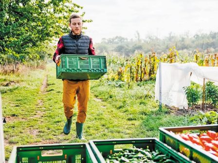 neofarm-i-galliki-startup-pou-chtizei-ton-megalytero-agrooikologiko-lachanokipo-tis-evropis-363070
