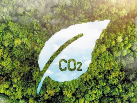 carbonica-academy-mia-ekpaideftiki-platforma-gia-ti-georgia-anthraka-sti-diathesi-ton-agroton-363123