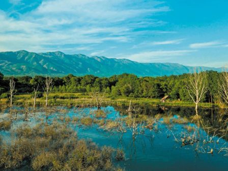 kilkis-xana-episkepsimo-meta-apo-20-chronia-to-archegono-dasos-ton-mourion-361221