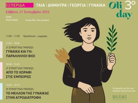 3o-oliday-diadrastiko-sybosio-sti-chora-messinias-362535