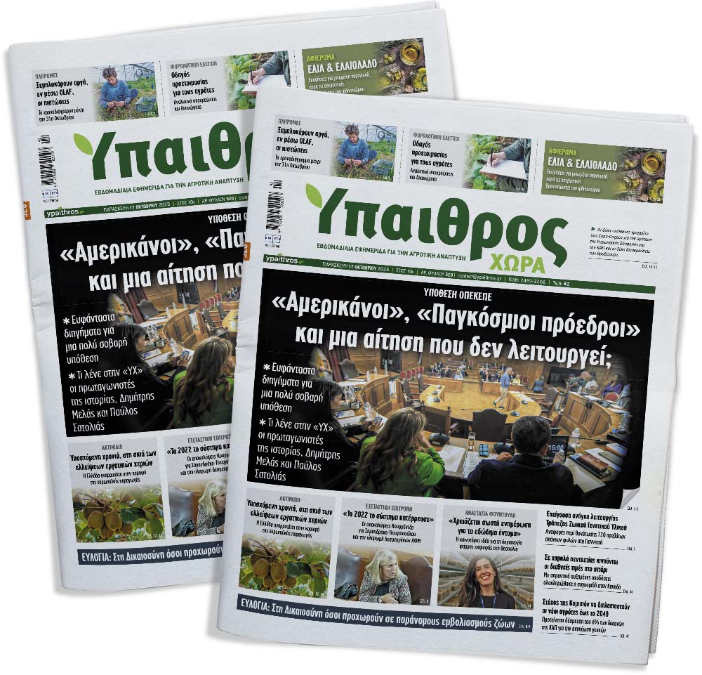 520-paraskevi-17-oktovriou-2025-364755