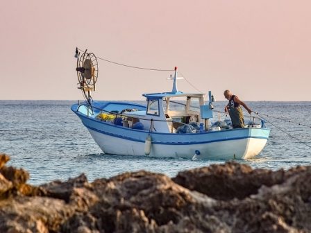vouli-eperotisi-syriza-gia-ton-agrotiko-tomea-kon-barkas-apaiteitai-olistiki-stratigiki-gia-tin-elliniki-paraktia-alieia-364841
