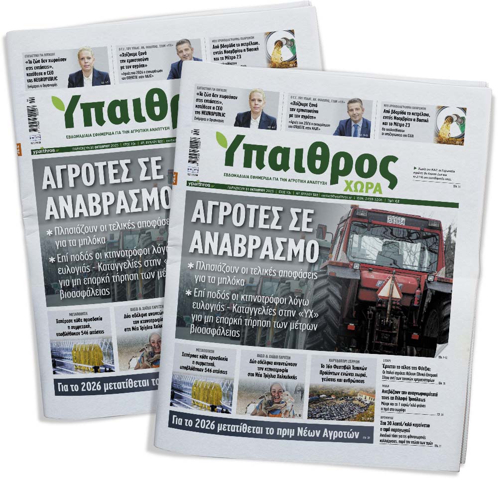 fyllo-522-paraskevi-31-oktovriou-2025-365841