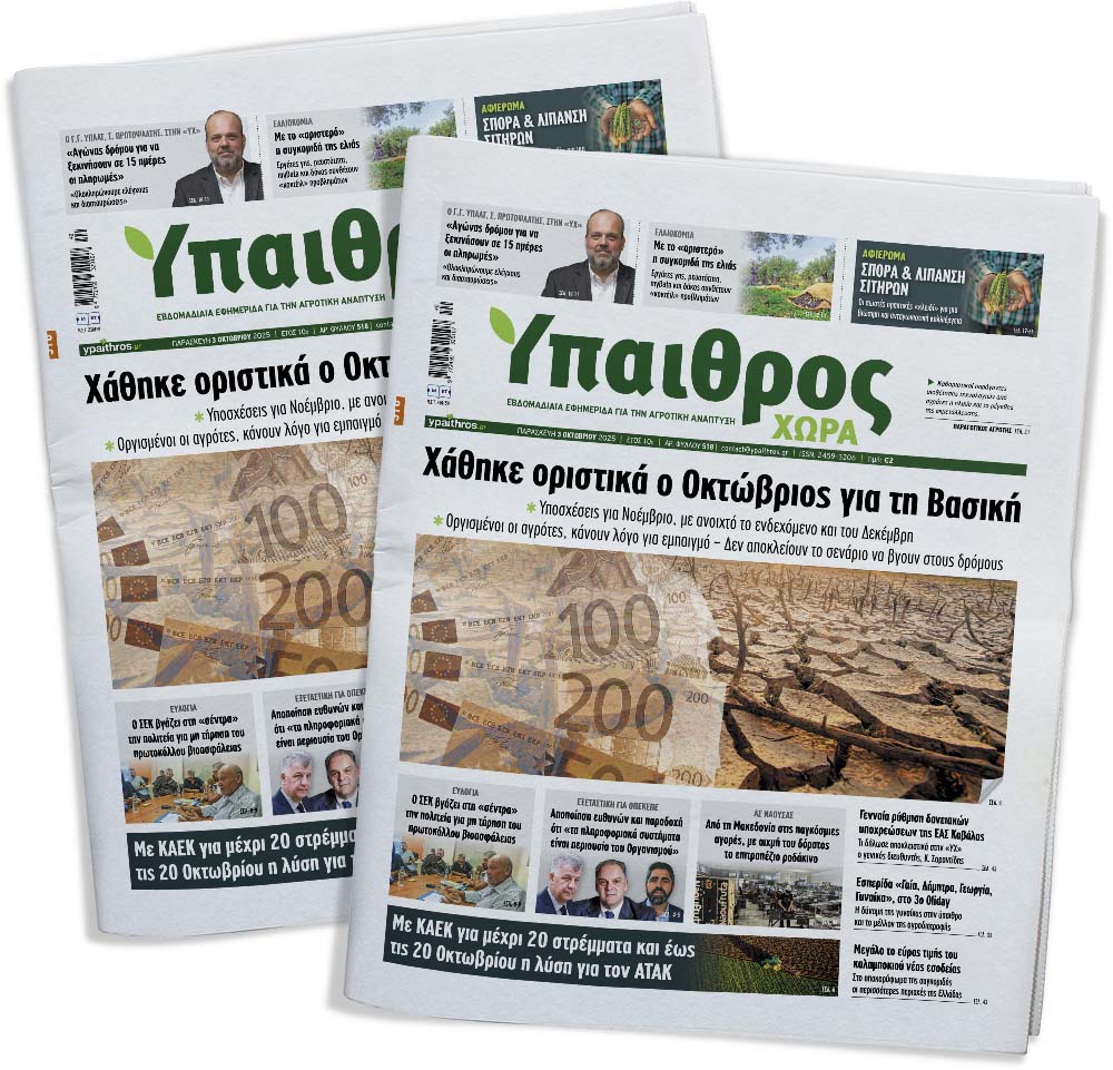 fyllo-518-paraskevi-3-oktovriou-2025-363512