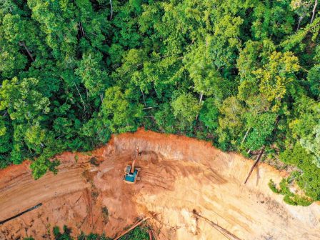 ekthesi-fao-i-pagkosmia-apopsilosi-epivradynetai-alla-ta-dasi-paramenoun-ypo-piesi-365967