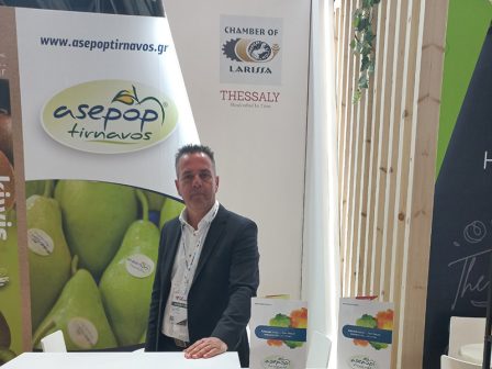 nees-allages-sti-syndedemeni-stirixi-gia-proveio-kai-aigeio-kreas-ti-provlepei-i-defteri-tropopoiisi-tis-ya-365892