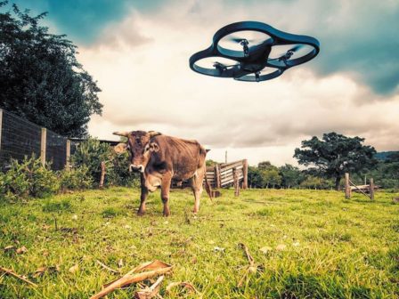 ktinotrofia-neoi-orizontes-gia-tin-parakolouthisi-ti-diacheirisi-kai-tin-asfaleia-ton-ektrofon-meso-drone-365477