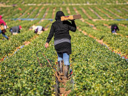 erevna-oi-epidotiseis-tis-ee-synechizoun-na-chrimatodotoun-tin-ekmetallefsi-metanaston-ergaton-365679