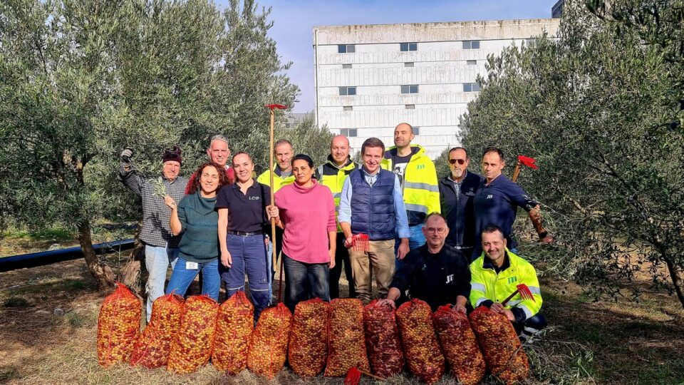 Εθελοντές για τη συγκομιδή ελιών ζητά το Γηροκομείο Ξάνθης Εθελοντές για τη συγκομιδή ελιών ζητά το Γηροκομείο Ξάνθης