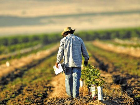 eu-cap-network-kales-praktikes-gia-tin-koinoniki-symvoli-ton-agroton-ektos-chorafiou-364498