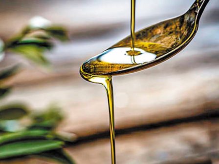 kokkalis-se-asfyktiki-katastasi-oi-organoseis-elaioladou-logo-stasis-pliromon-efthyni-tis-kyvernisis-i-kathysterisi-364985