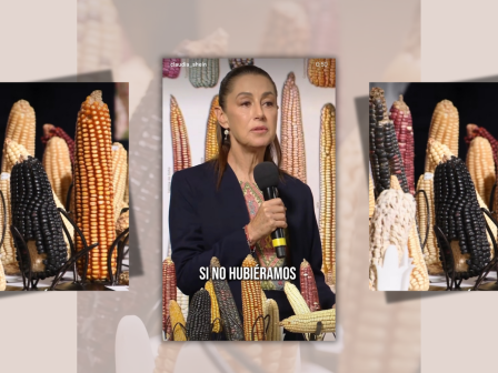 mexiko-programma-diatirisis-paradosiakon-poikilion-kalabokiou-anakoinose-i-sheinbaum-363411