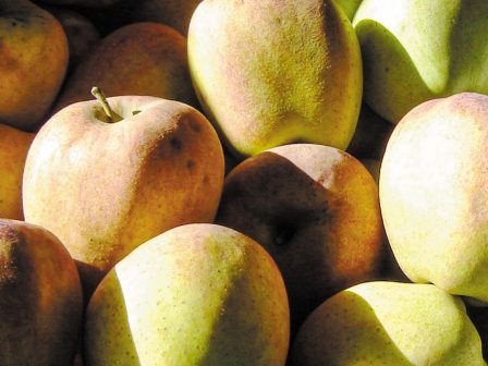 arkadia-anevazoun-tin-anagnorisimotita-tous-ta-mila-pilafa-365980