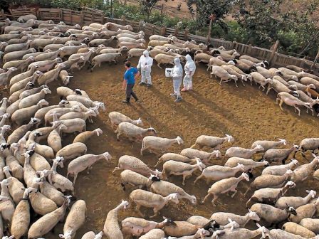 ypaithros-chora-efimerida-gia-tin-agrotiki-anaptyxi-kai-oikonomia-363569