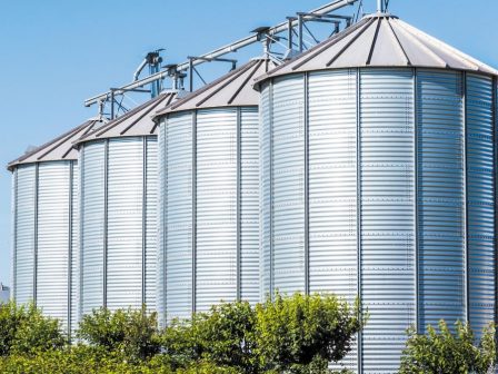 erchetai-to-telos-tis-fotzia-365958