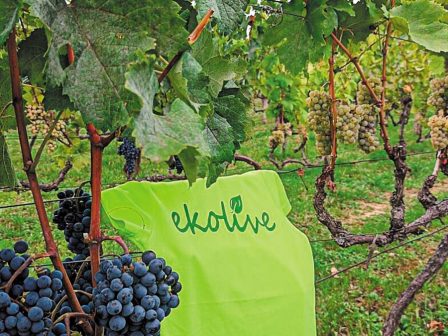 ekolive-kainotomia-pou-anazoogonei-ta-ypovathmismena-edafi-me-proviotika-vaktiria-364035