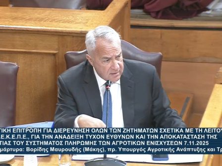 exetastiki-opekepe-synechizetai-i-katathesi-tou-proin-ypaat-maki-voridi-366361