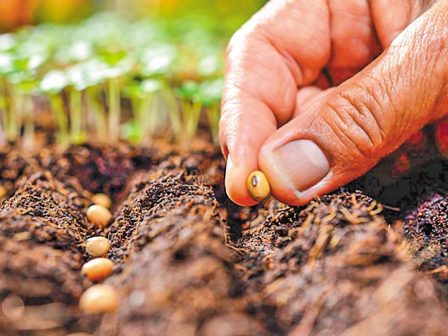 panepistimio-dytikis-makedonias-katartisi-se-themata-paragogis-pistopoiisis-kai-diakinisis-fytikou-pollaplasiastikou-ylikou-365557