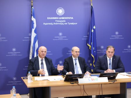 sta-363-ekat-evro-i-prokatavoli-tis-vasikis-pou-tha-pistothei-telika-avrio-i-aktinografia-ton-pliromon-368060