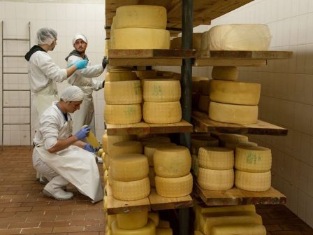 ekpaidefsi-me-oikologiki-syneidisi-to-ergastirio-agrias-panidas-tou-aristoteleiou-symvallei-sti-diamorfosi-neon-praktikon-viosimou-kynigetikou-tourismou-366616