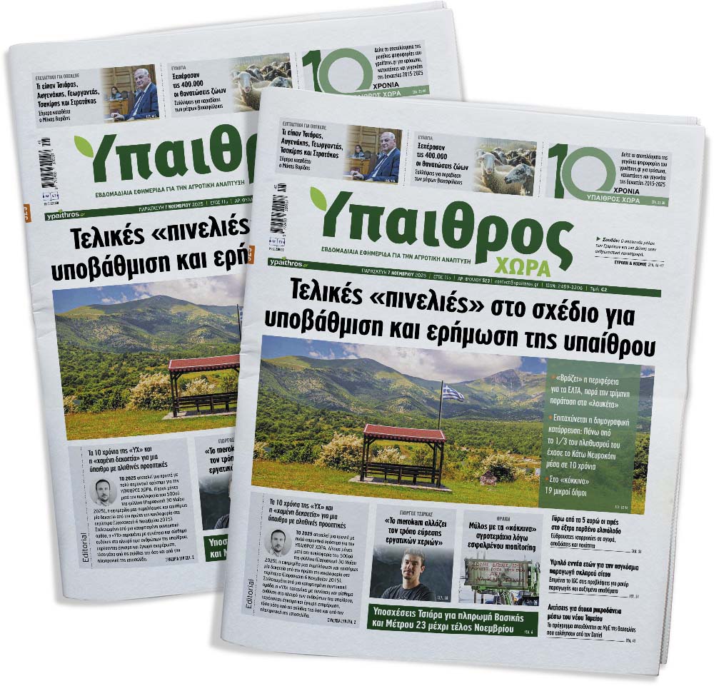 523-paraskevi-07-noemvriou-2025-366352