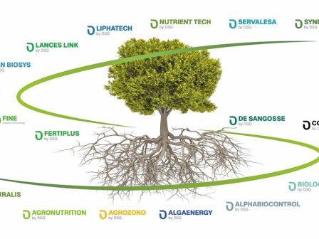 mazi-gia-mia-nea-epochi-sti-georgia-metaferontas-to-orama-tis-de-sangosse-stin-ellada-366469