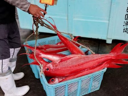 diplomatikes-entaseis-i-kina-anastellei-tis-eisagoges-thalassinon-apo-tin-iaponia-367318