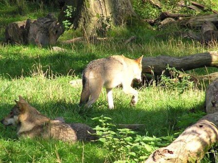 ekpaidefsi-me-oikologiki-syneidisi-to-ergastirio-agrias-panidas-tou-aristoteleiou-symvallei-sti-diamorfosi-neon-praktikon-viosimou-kynigetikou-tourismou-366793