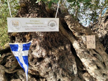 i-giraioteri-elia-tis-peloponnisou-eortazei-tin-pagkosmia-imera-elias-367727