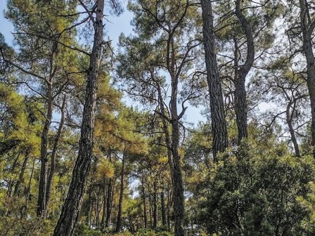 ypaithros-chora-efimerida-gia-tin-agrotiki-anaptyxi-kai-oikonomia-367026