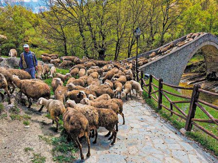 anoixe-o-ippokrateios-votanikos-kipos-sto-parko-tou-alkazar-367508