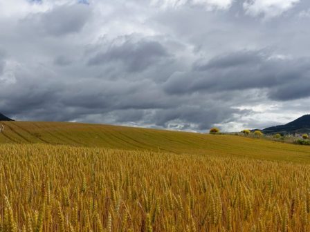 rehubs-ena-neo-evropaiko-ergo-me-orama-ti-dimiourgia-klimatika-anthektikon-koinotiton-366776