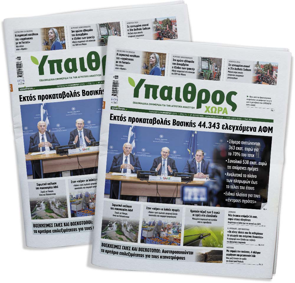 526-paraskevi-28-noemvriou-2025-368067