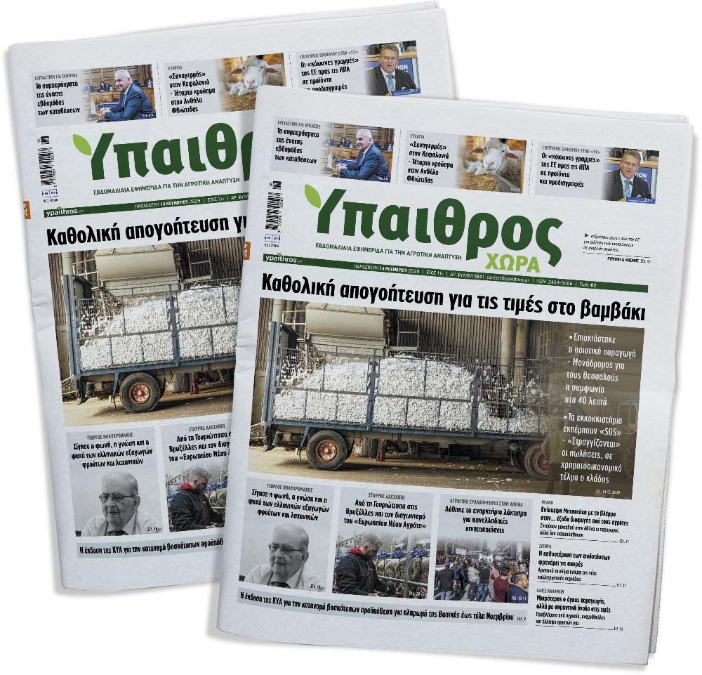 524-paraskevi-14-noemvriou-2025-366909