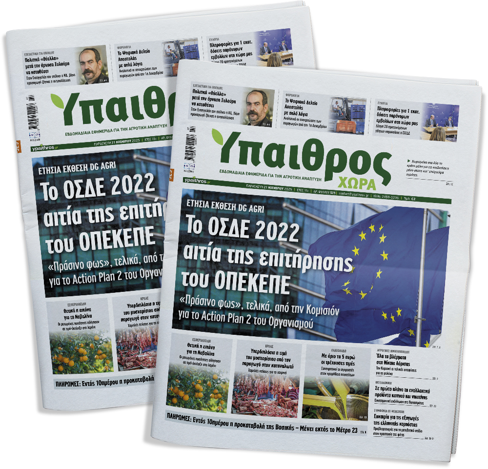 525-paraskevi-21-noemvriou-2025-367453