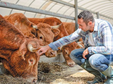 i-nestle-symmachei-me-tin-pagkosmia-organosi-agroton-gia-anthektikoteri-agrodiatrofiki-alysida-366106