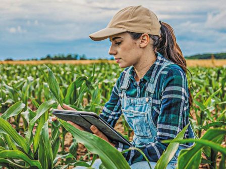 kap-2023-2027-prasino-fos-apo-tin-ee-gia-afxisi-ton-enischyseon-se-mikrous-agrotes-367267