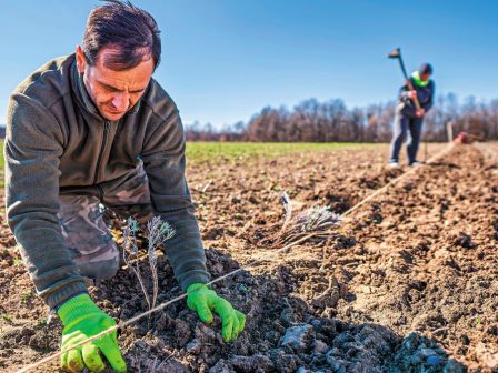 i-apotaftopoiisi-tis-trofis-kai-o-afanismos-tis-ypaithrou-mipos-dianyoume-mia-siopili-metavasi-367789