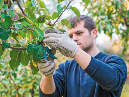 eu-cap-network-stratigikes-ananeosis-ton-geneon-sti-georgia-apo-ta-krati-meli-366421